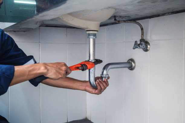 Best Plumbing Inspection Services  in Farmville, VA